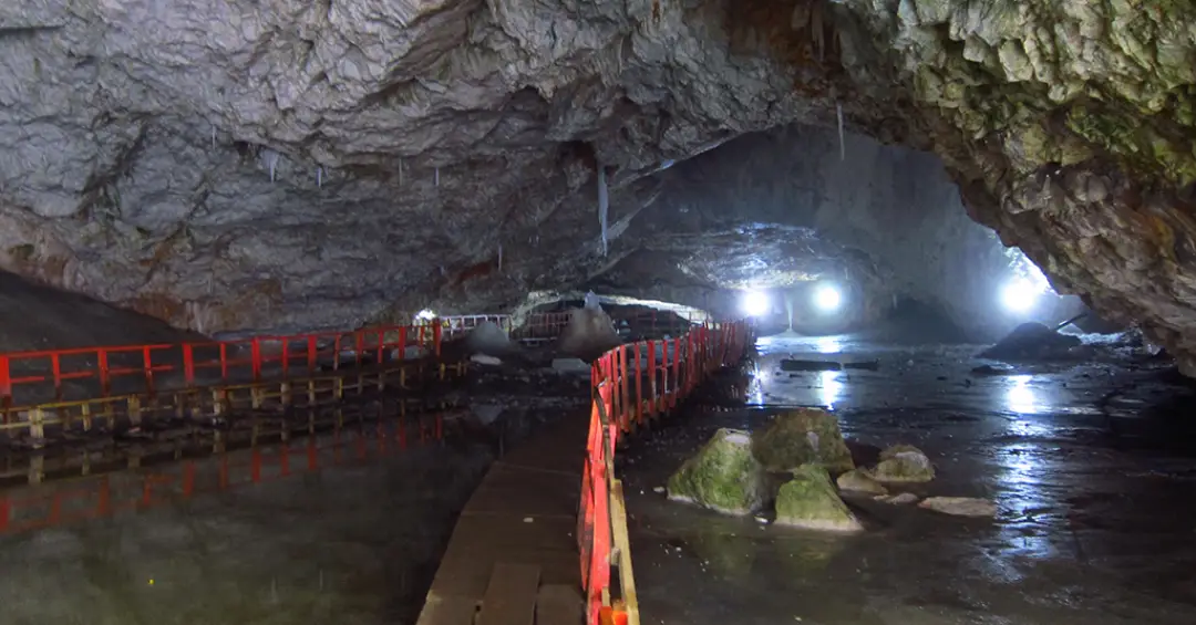 Cientistas descongelam bactéria de 5 mil anos – e ela tem resistência a antibióticos