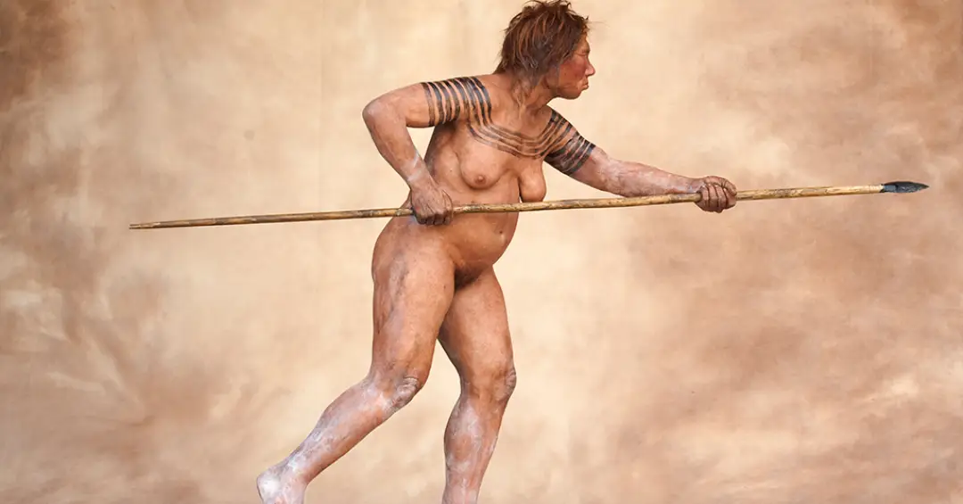 Como complicações durante a gravidez podem ter contribuído para a extinção dos neandertais