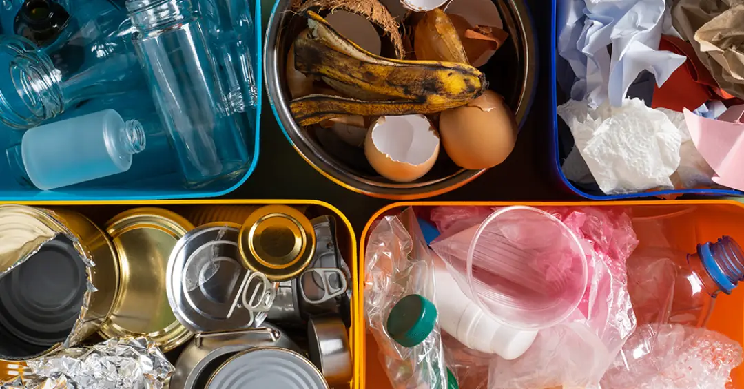 Por que entender os impactos ambientais do que comemos é tão difícil e tão importante