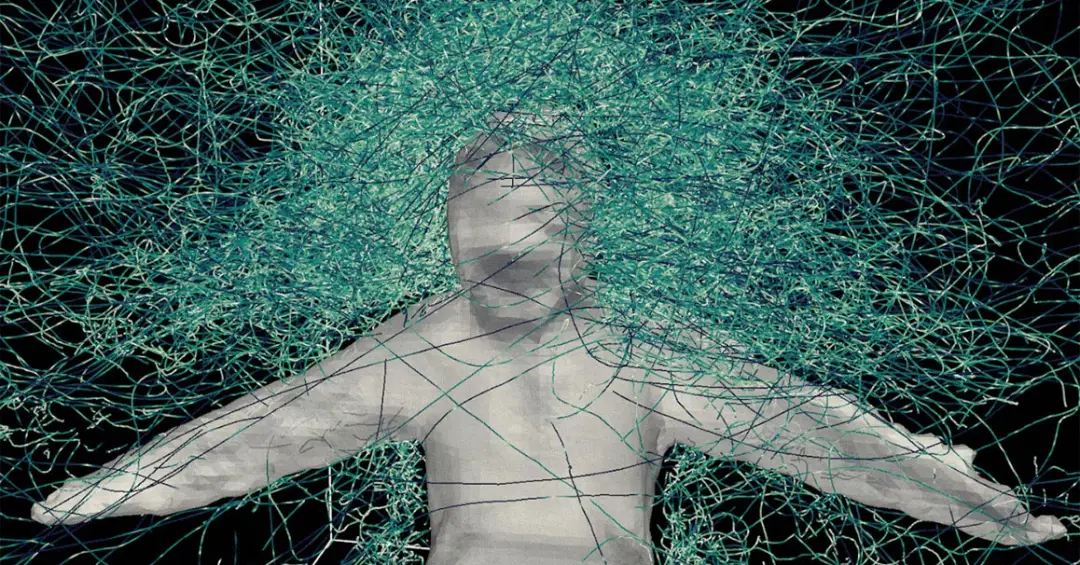 Centenas de mosquitos famintos, um voluntário e um traje de malha ajudaram a descobrir como esses insetos mortais acham seus alvos