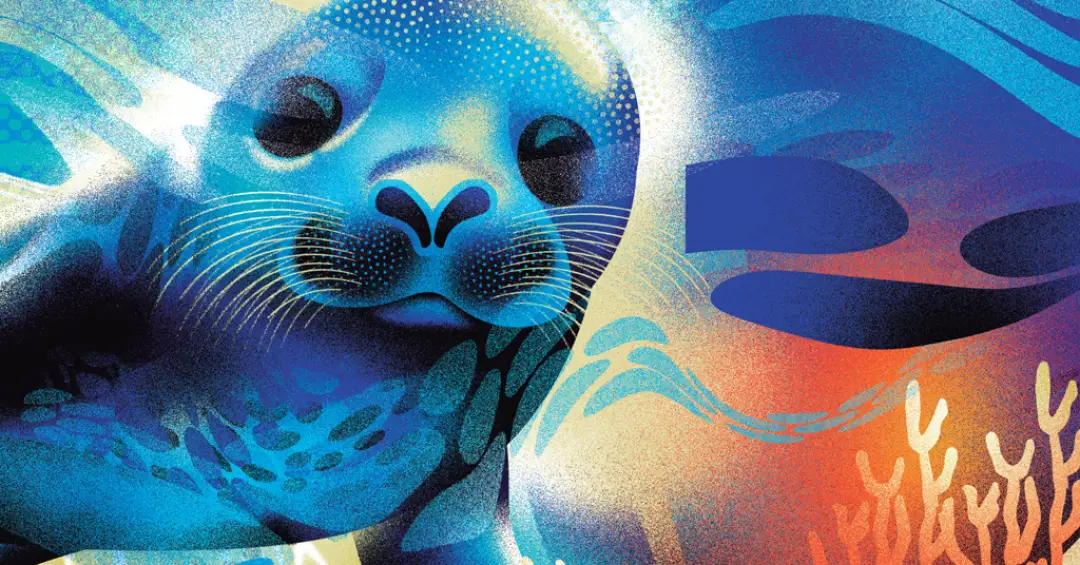 Como as focas usam os bigodes para localizar presas muito distantes