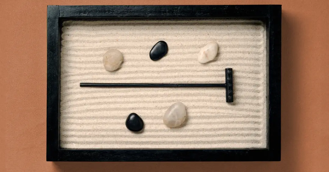 Meditar realmente limpa o cérebro