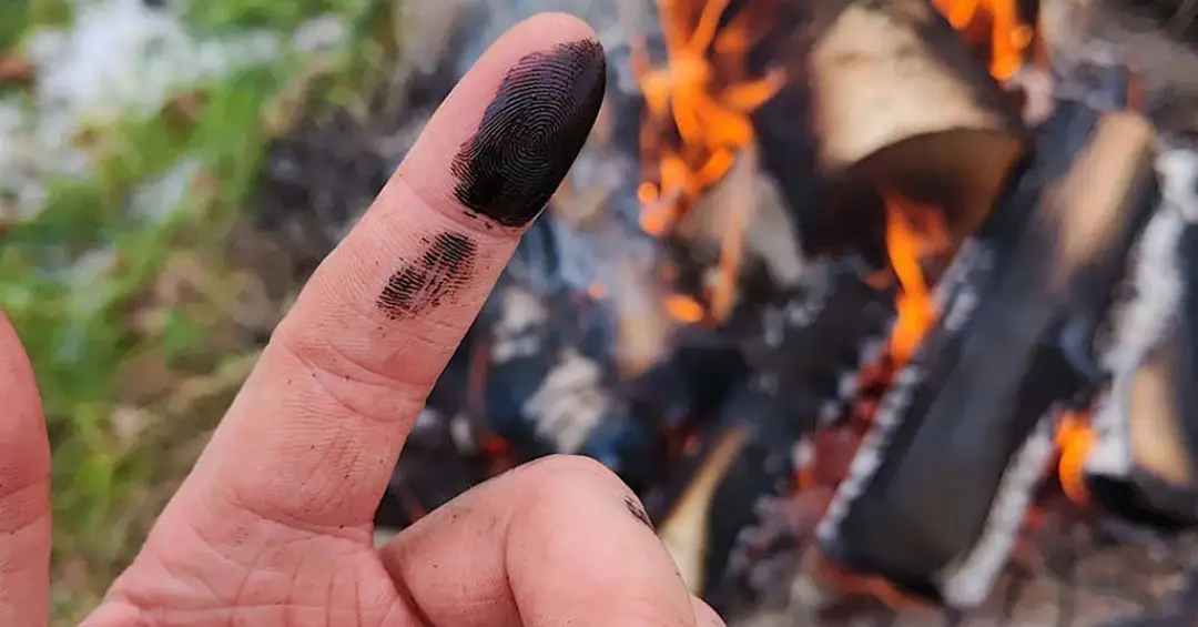 Neandertais podem ter usado “antibiótico” natural para tratar feridas, mostra estudo