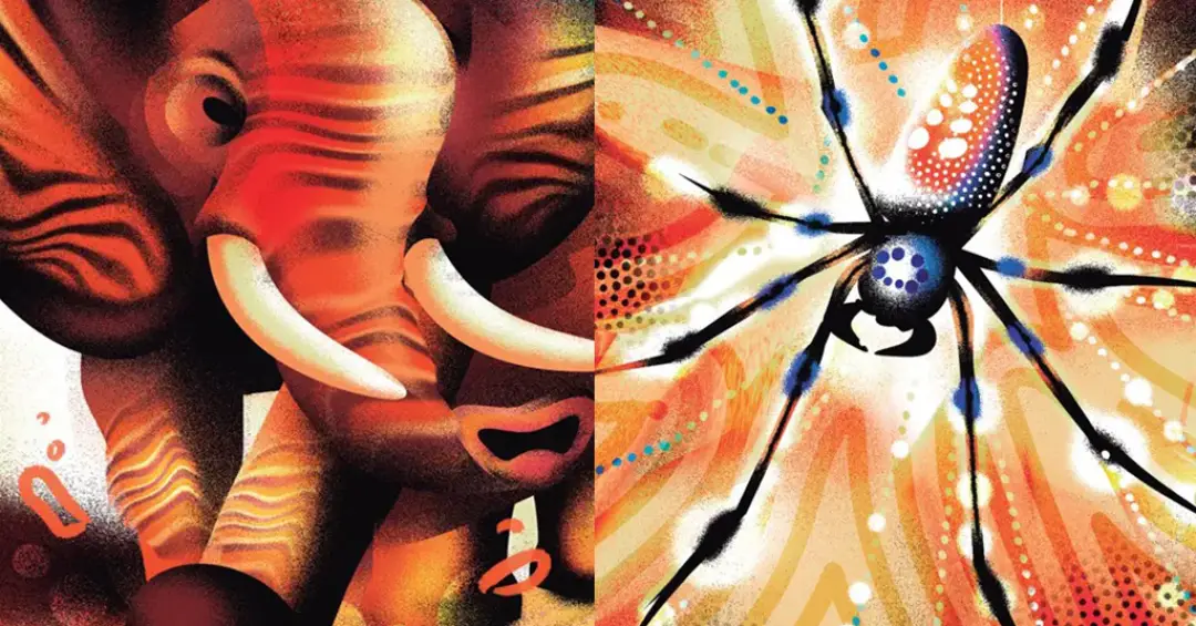 O mundo das vibrações: o que os sentidos de aranhas e elefantes têm em comum?