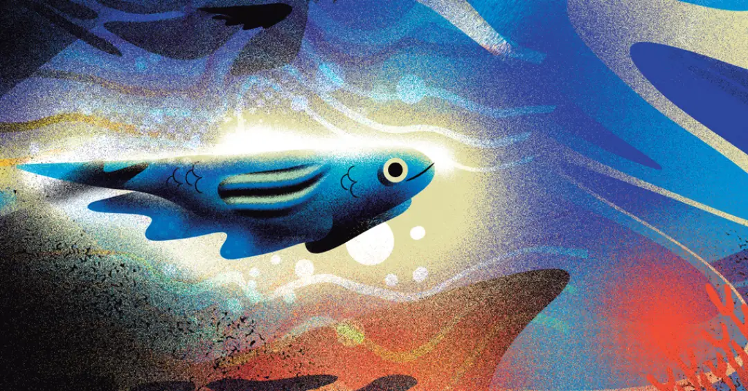 O peixe amazônico que cria eletricidade para se localizar no escuro