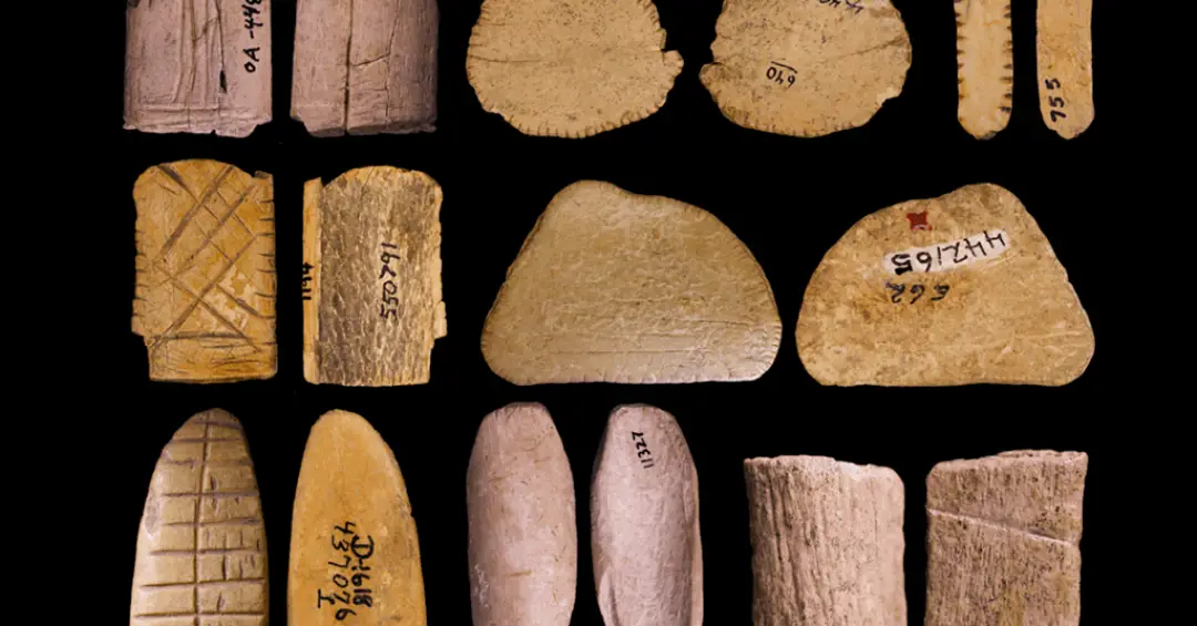 Dados mais antigos do mundo foram criados por indígenas americanos há 12 mil anos, diz estudo