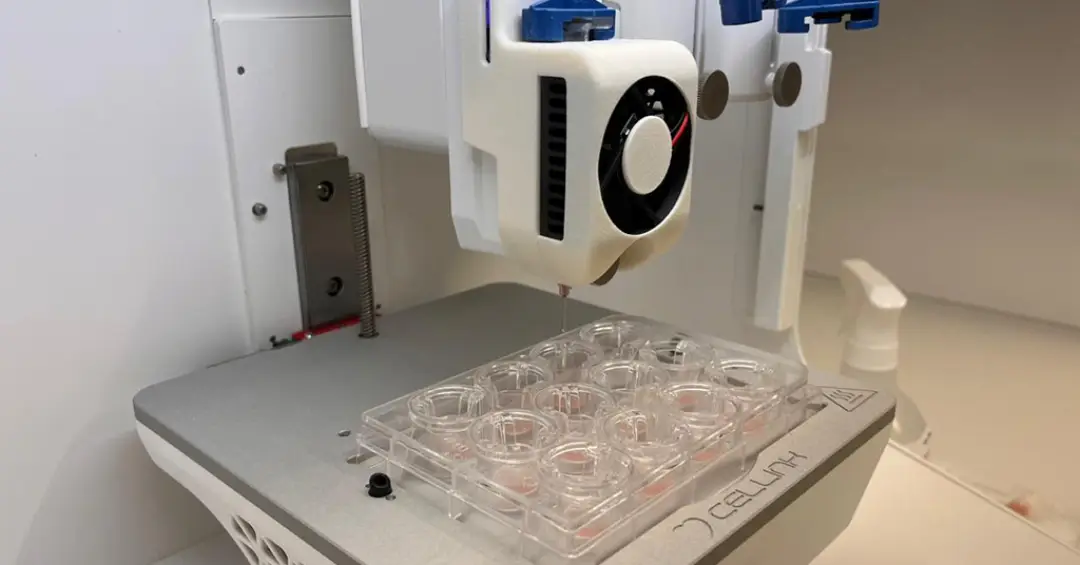 Pele humana impressa em laboratório brasileiro reproduz efeitos da menopausa e ajuda a testar cosméticos