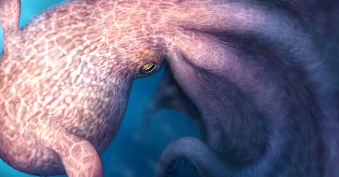 Polvos gigantes, de até 19 metros, dominavam os oceanos há 100 milhões de anos, indica estudo