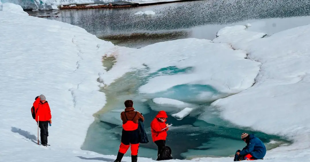 Como bactérias da Antártica podem ajudar a reverter o envelhecimento