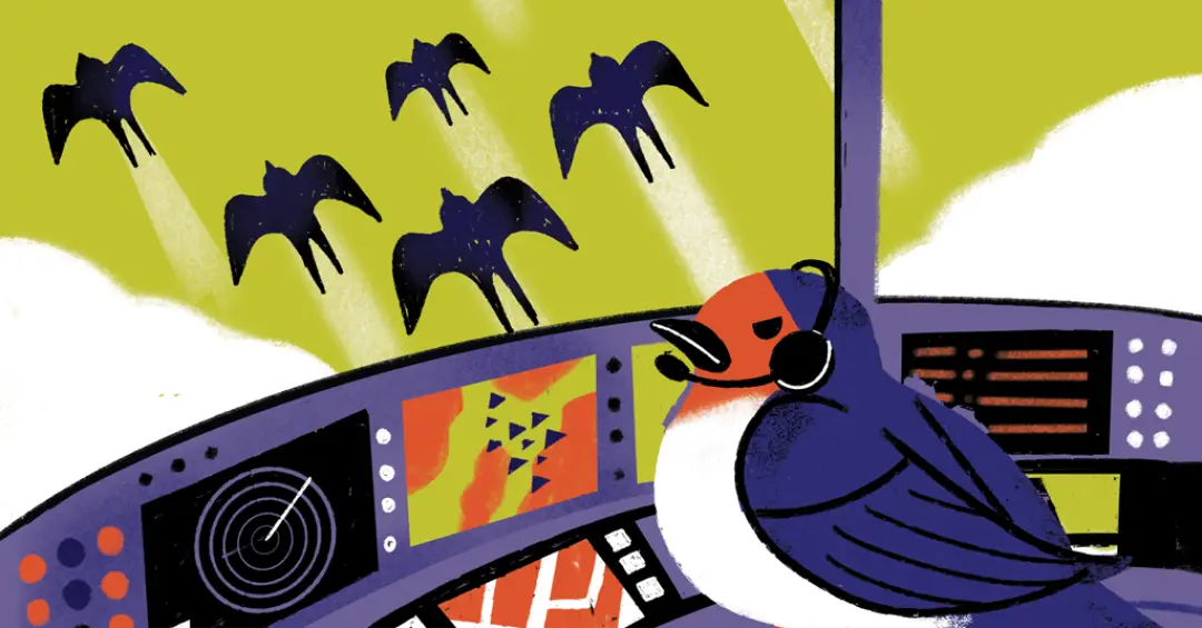 Como os animais migratórios sabem para onde ir?
