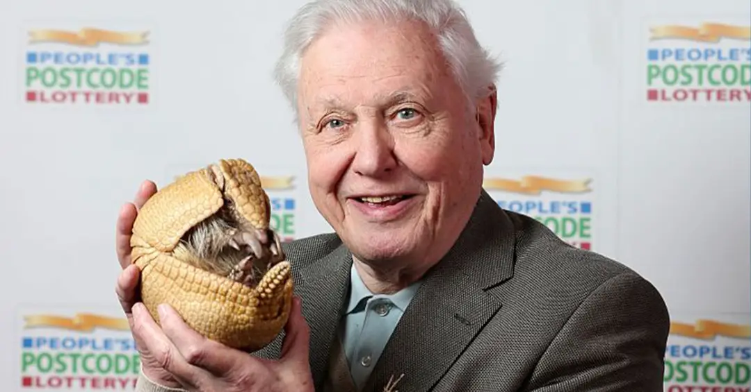 David Attenborough completa 100 anos: relembre trajetória do documentarista da natureza