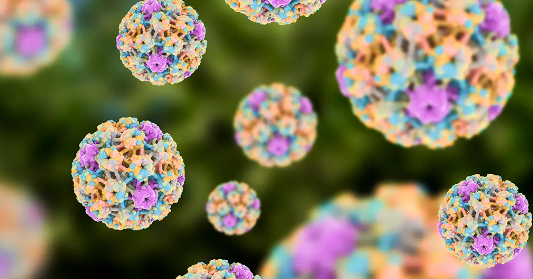 Vacina em estudo demonstra eficácia contra células tumorais ligadas ao HPV