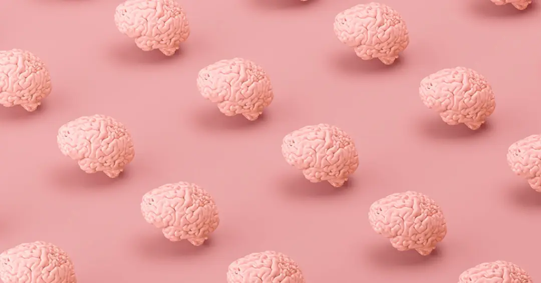 Como o cérebro bilíngue processa regras de diferentes idiomas? Estudo traz pistas