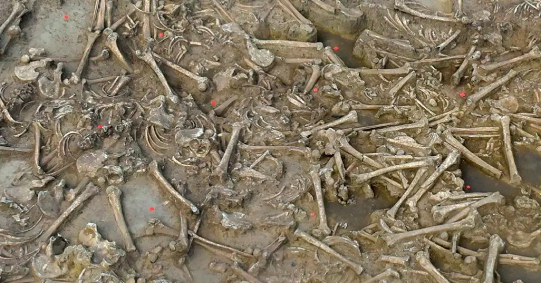Dezenas de esqueletos humanos decapitados são descobertos em sítio arqueológico Neolítico