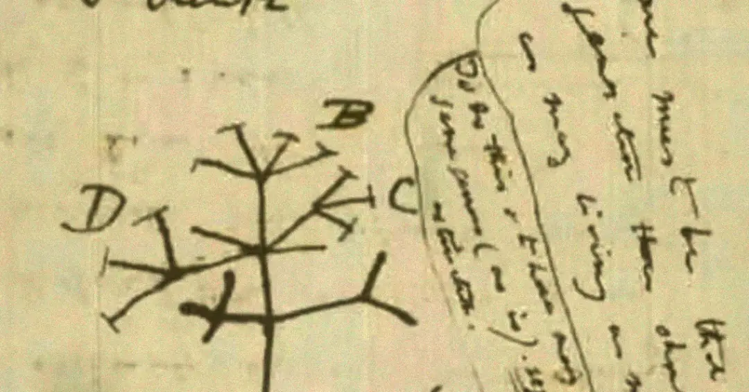Filósofo muçulmano “antecipou” Darwin? Não é bem assim…
