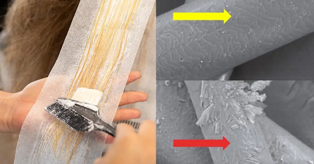 Microscópio eletrônico mostra danos estruturais ao cabelo após descoloração, alisamento e calor