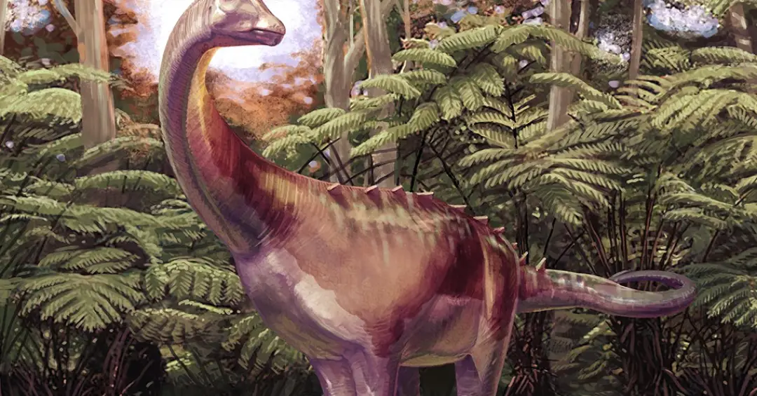 Primeiro fóssil de dinossauro da Antártida é descrito após 40 anos esquecido em uma gaveta