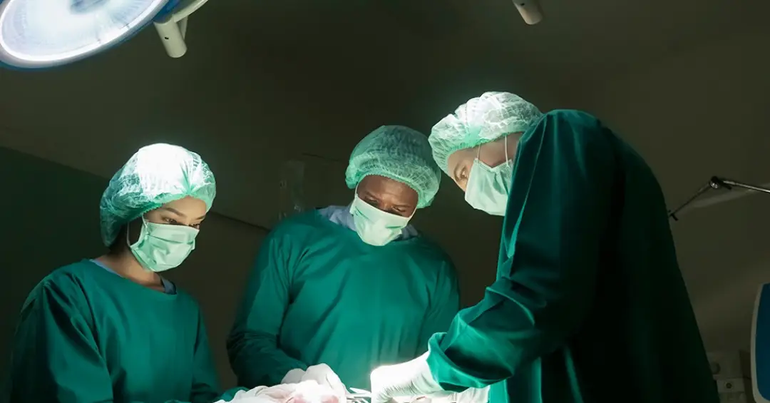 Rins e fígado de porco são transplantados para uma mesma pessoa pela primeira vez