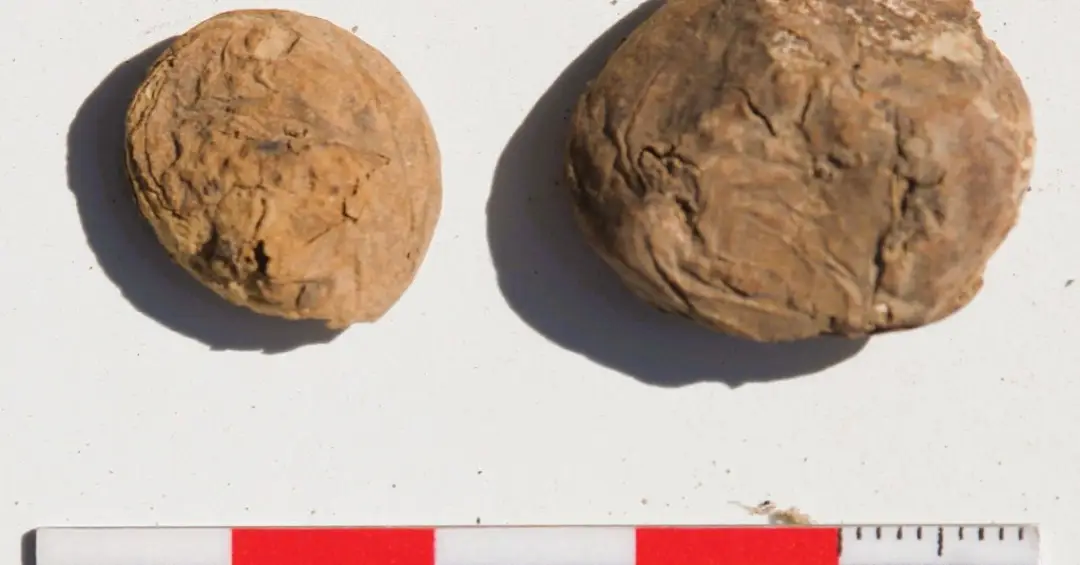 Batatinhas de 500 anos? Alimento inca liofilizado é encontrado no Peru