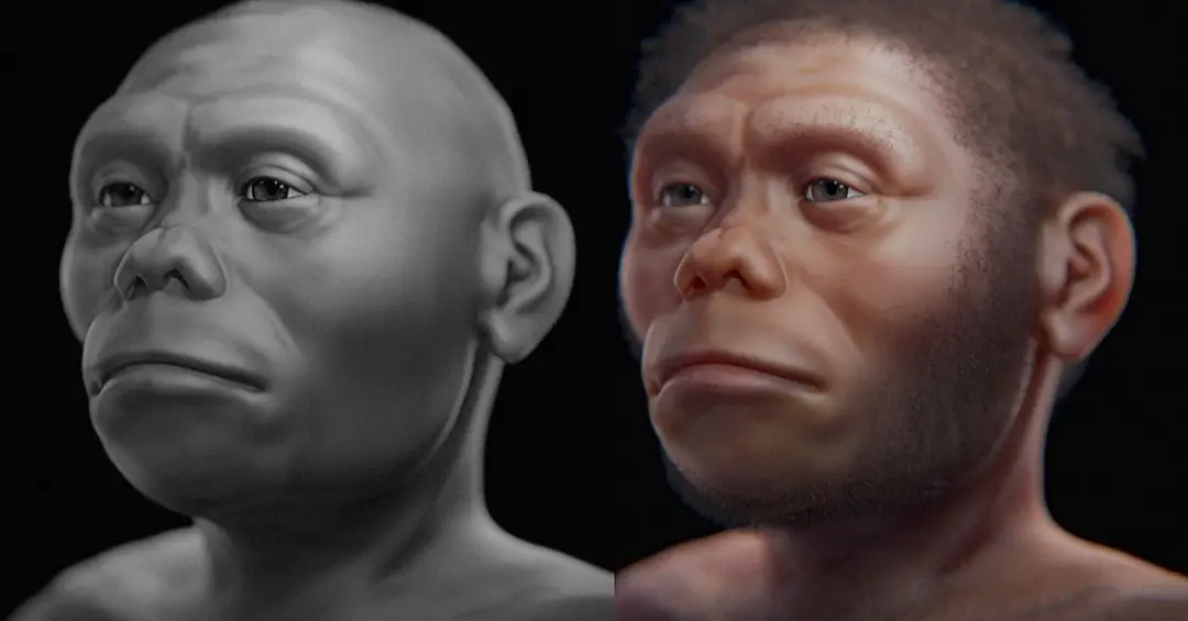 Hominídeo “hobbit” comia carne deixada por dragões-de-komodo