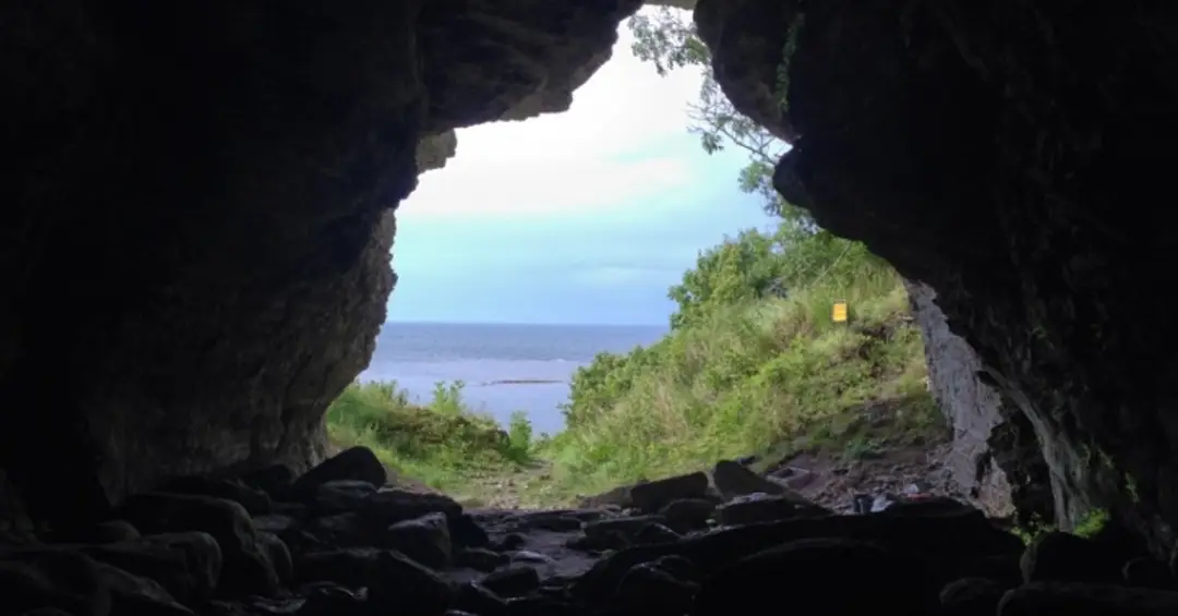 Por que humanos levaram dois lobos selvagens para essa ilha remota há 5 mil anos?