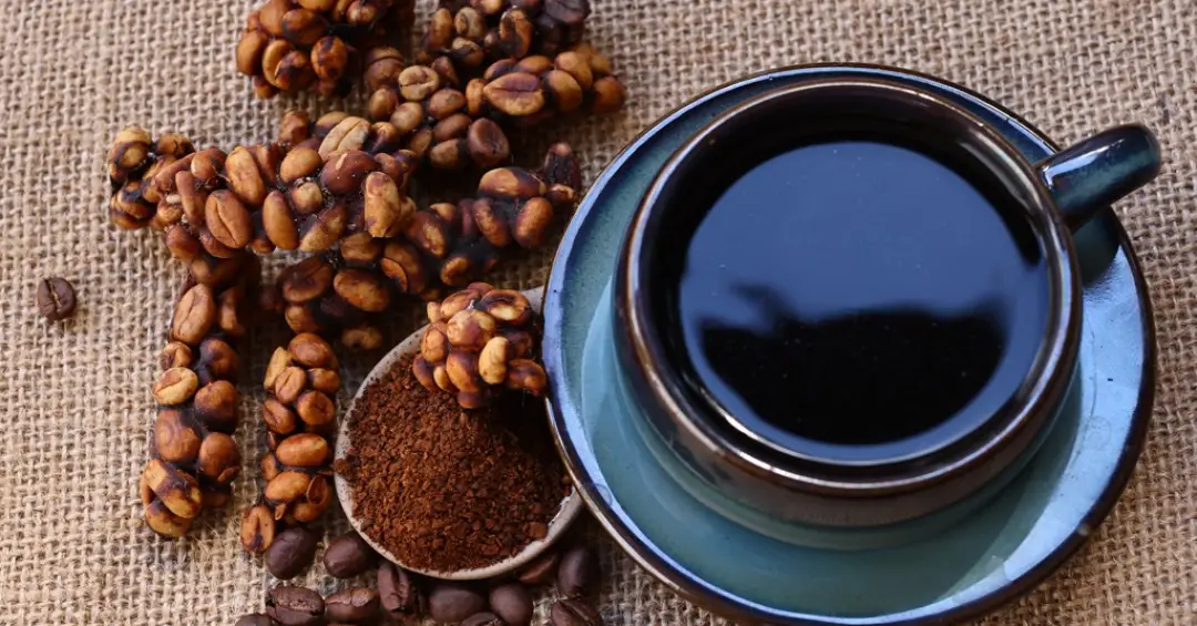 Quem inventou o café feito com grãos digeridos por um animal?
