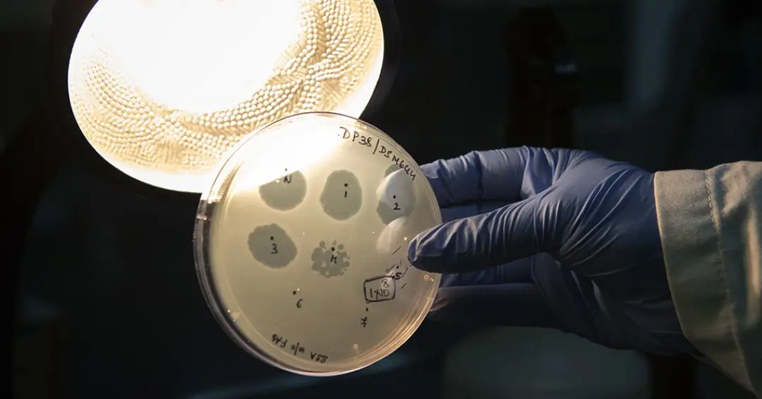 Cientistas fabricam os primeiros vírus biológicos criados por IA