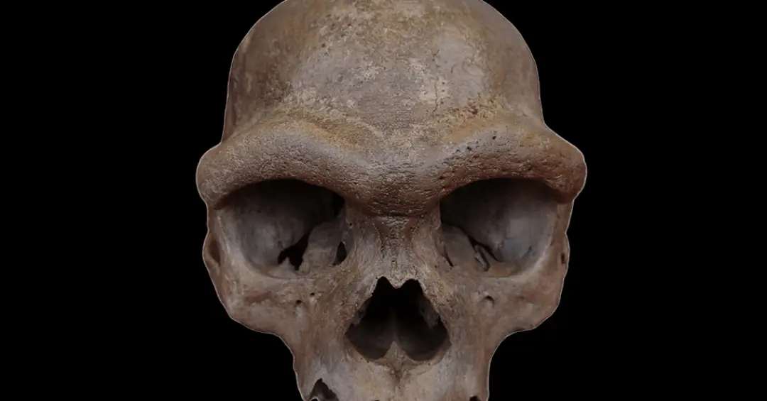 Denisovanos, primos extintos dos sapiens, eram muito altos, revelam novos fósseis