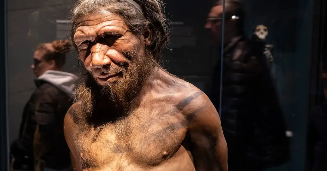 Gene neandertal faz alguns humanos ficarem mais altos e musculosos