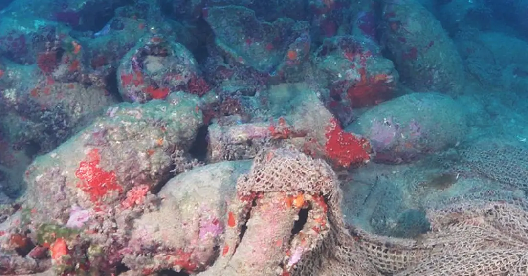 Mergulhadores encontram naufrágio romano com mais de 2 mil anos na costa da Sicília
