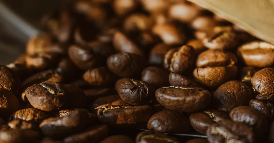 O que vai na sua xícara: um mergulho na composição química dos grãos de café brasileiros