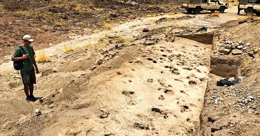 Pegadas fossilizadas de 1,4 milhão de anos revelam que hominíneo extinto era maior do que se pensava