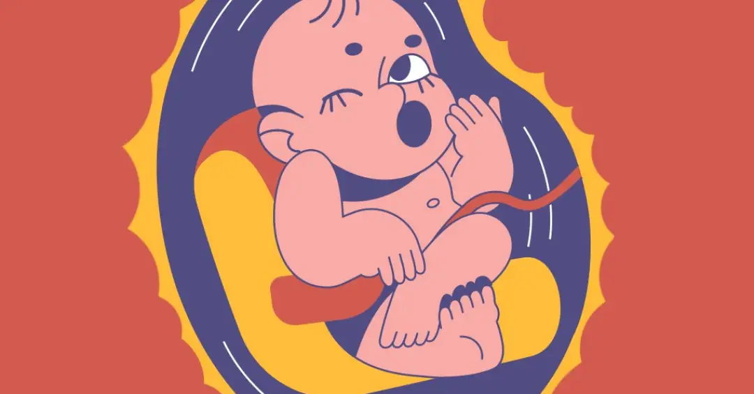 Por que bebês bocejam dentro da barriga da mãe?