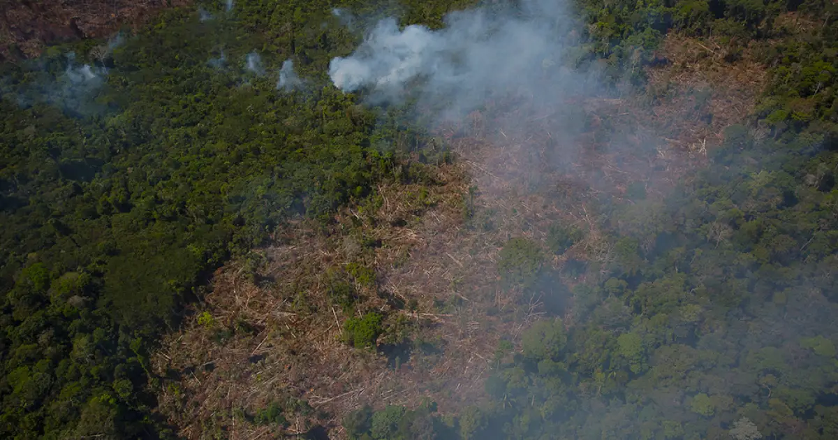 Eleições 2026: O que dizem os presidenciáveis sobre meio ambiente e Amazônia?