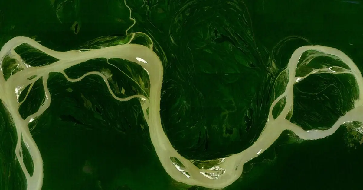Eleições 2026: resumo das propostas dos 12 presidenciáveis para meio ambiente e Amazônia