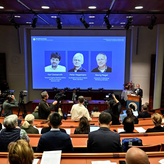 Nobel da Medicina repartido por três cientistas